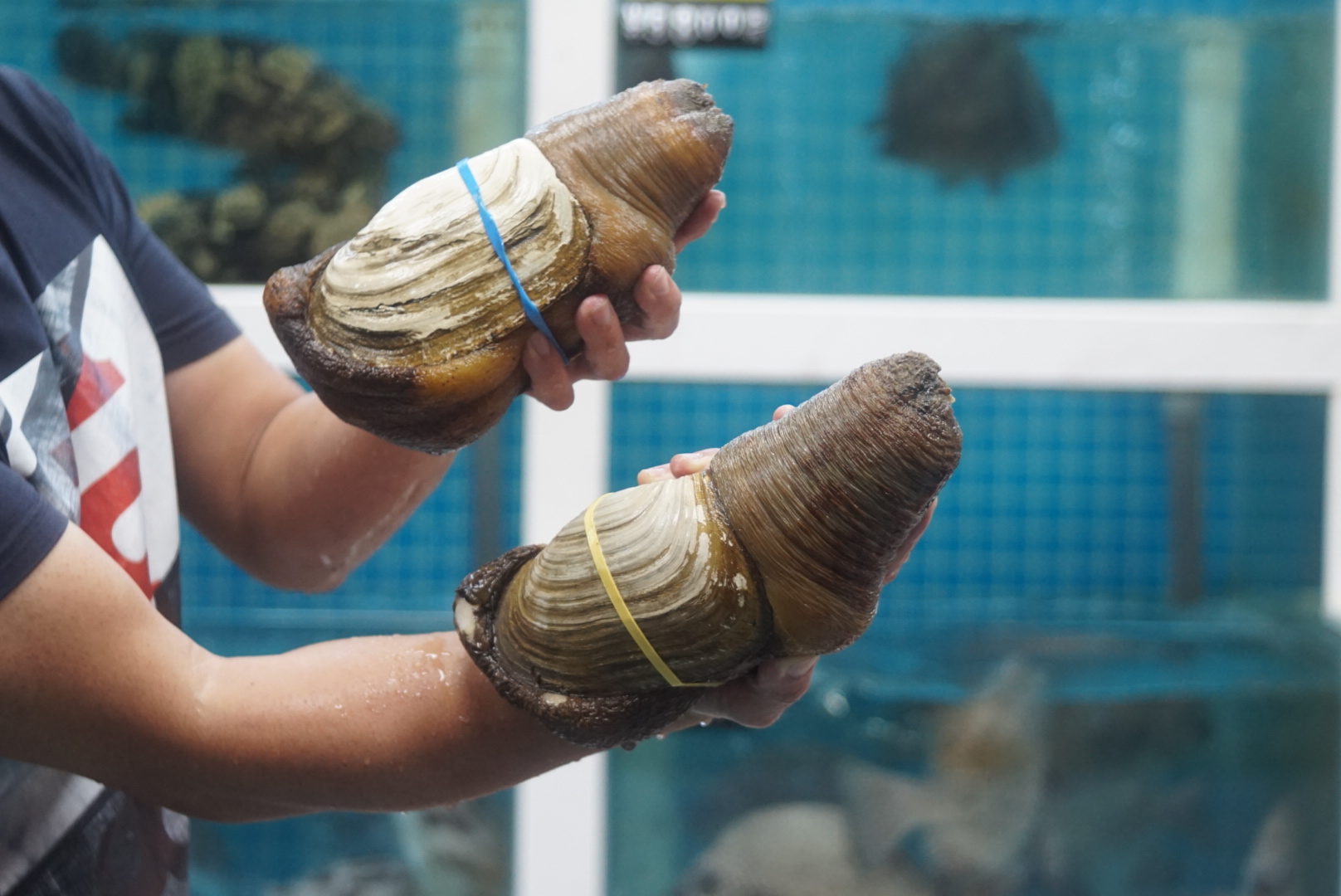 来来海鲜，旧店迁新址，老板直说我们家的菜都好吃，来过都想再来