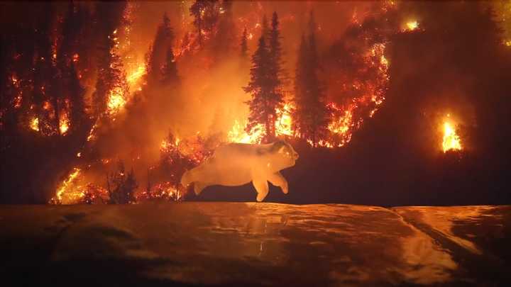 9大高清无版权图片素材网站推荐,无版权全免费10个视频素材app