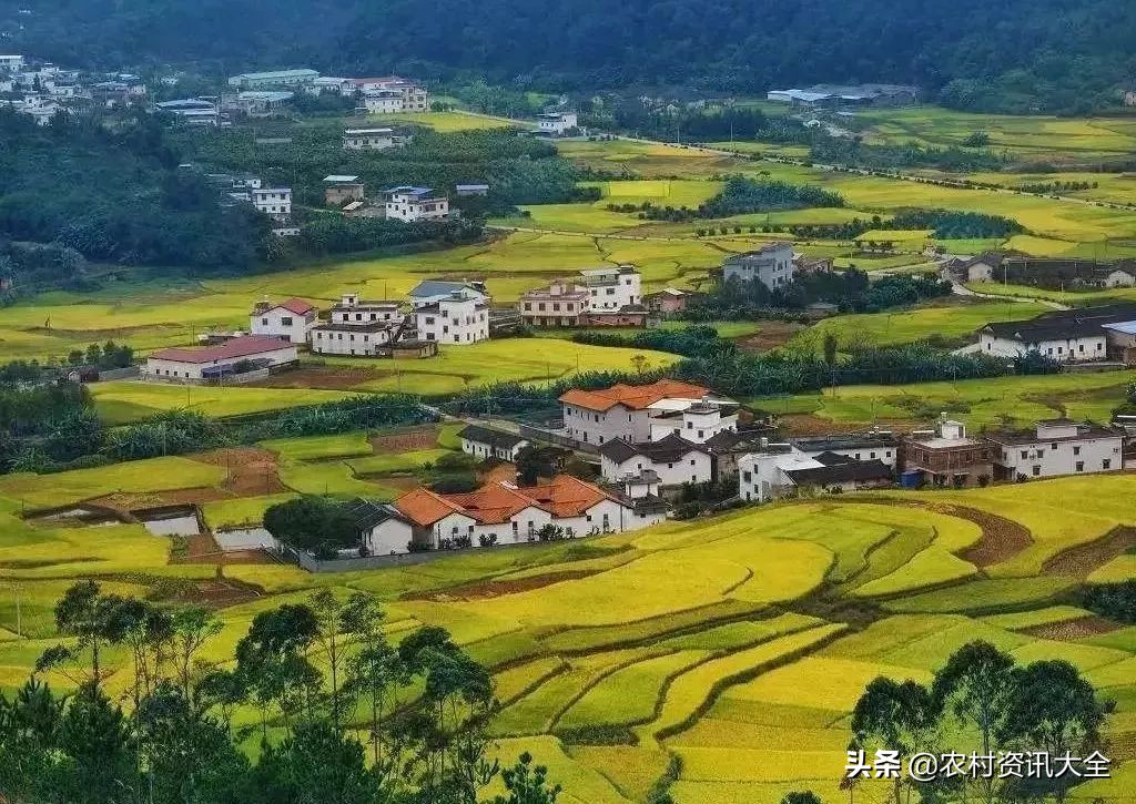 农村五个适合穷人创业项目有哪些,在农村创业适合做什么生意项目