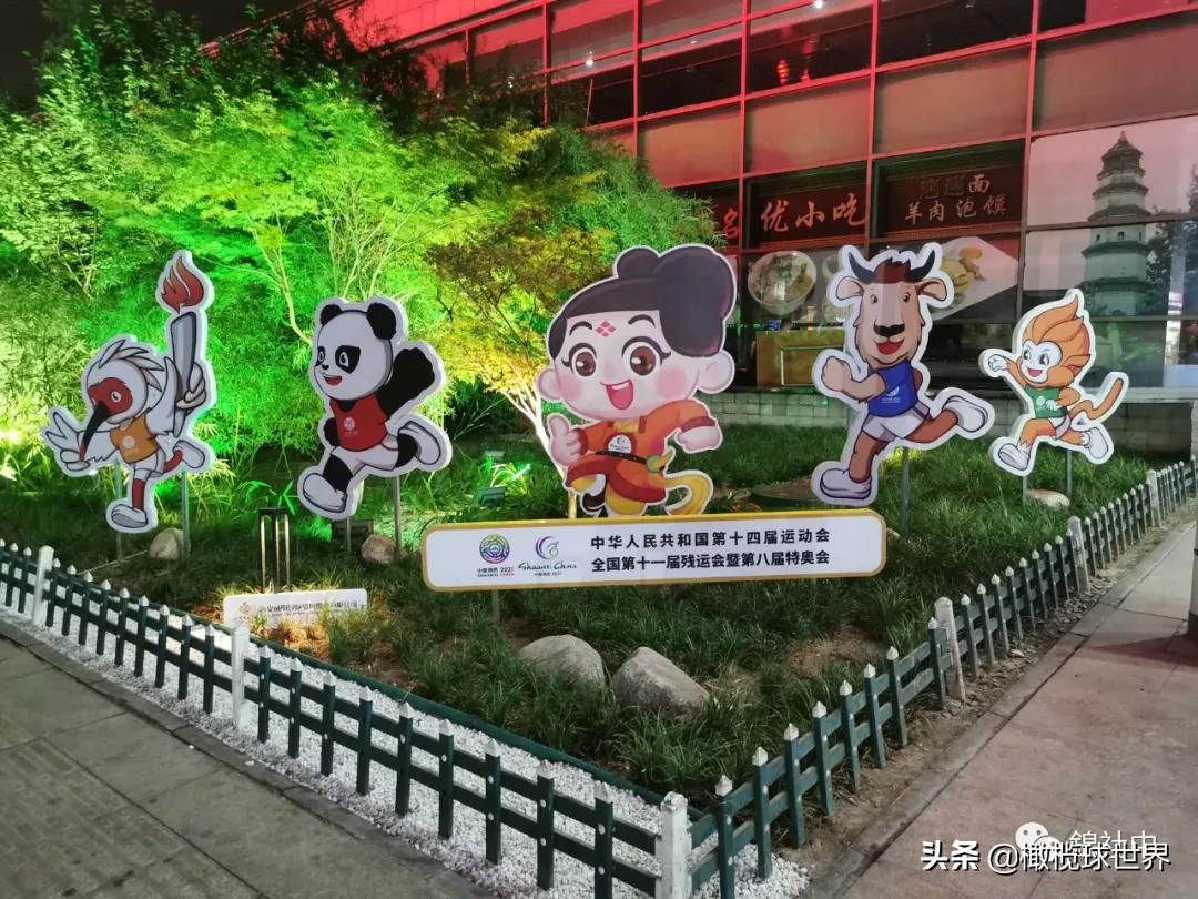 我和我的体育故事,我和运动会的故事