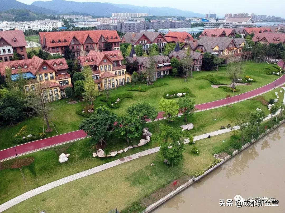 金堂人，你身边这条街已入选成都“最美街道”！