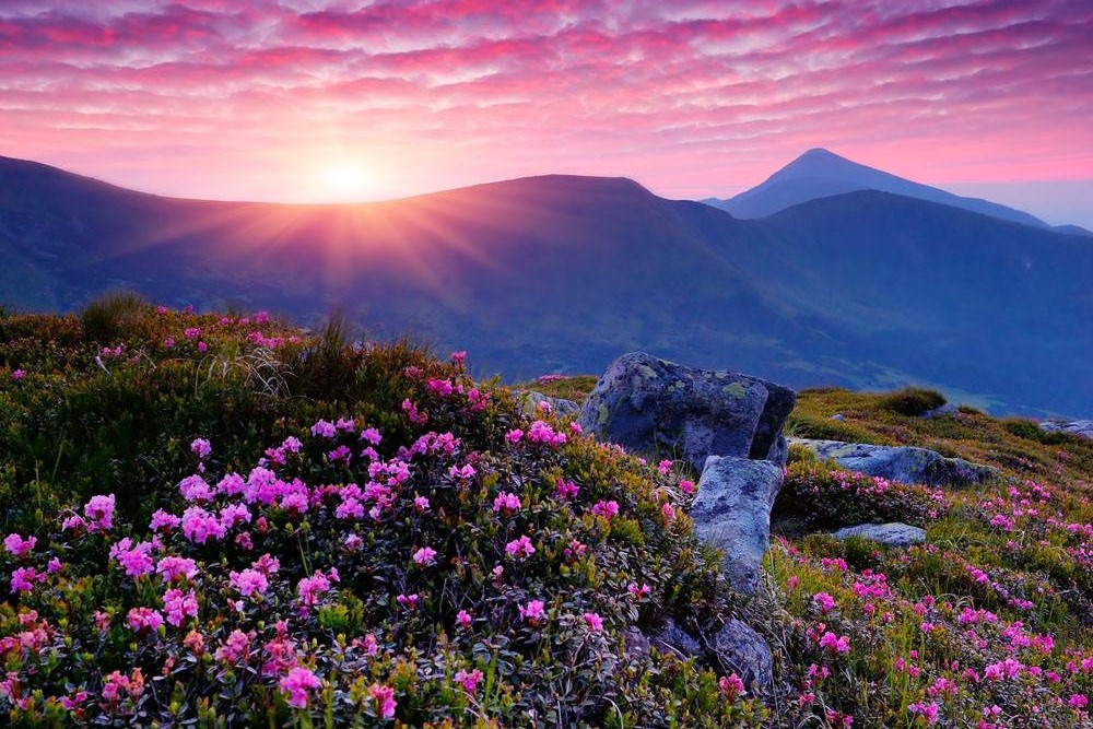 天全喇叭河游玩时间,天全喇叭河旅游二日游攻略