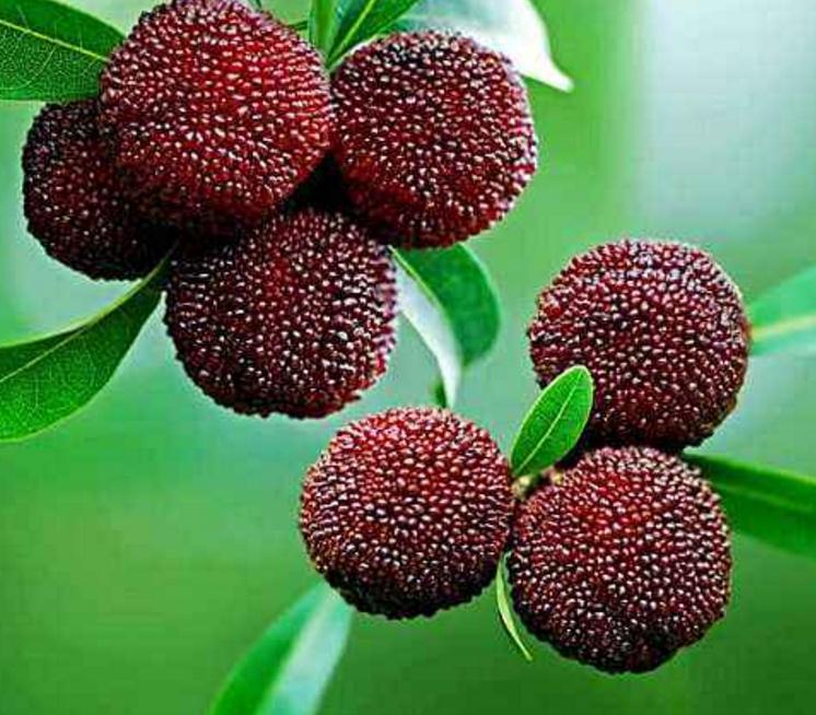 霉运连连的人该怎么摆脱这种情况,怎样才能让一个人走霉运一败涂地