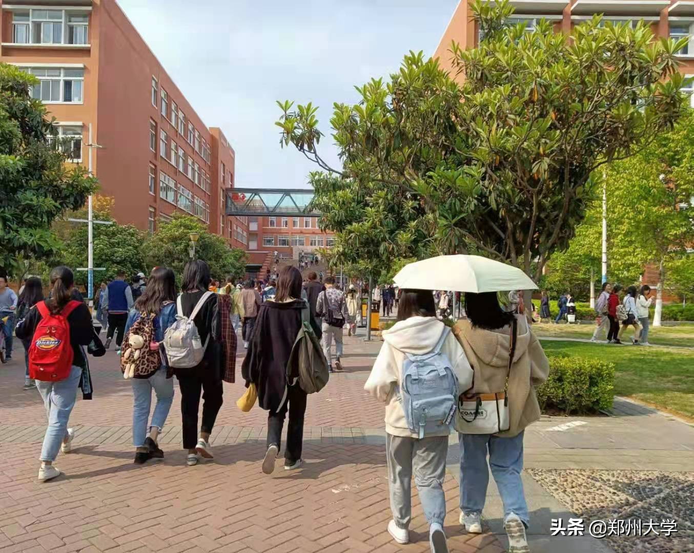 第二弹！我在郑大过得好好好好好好好！