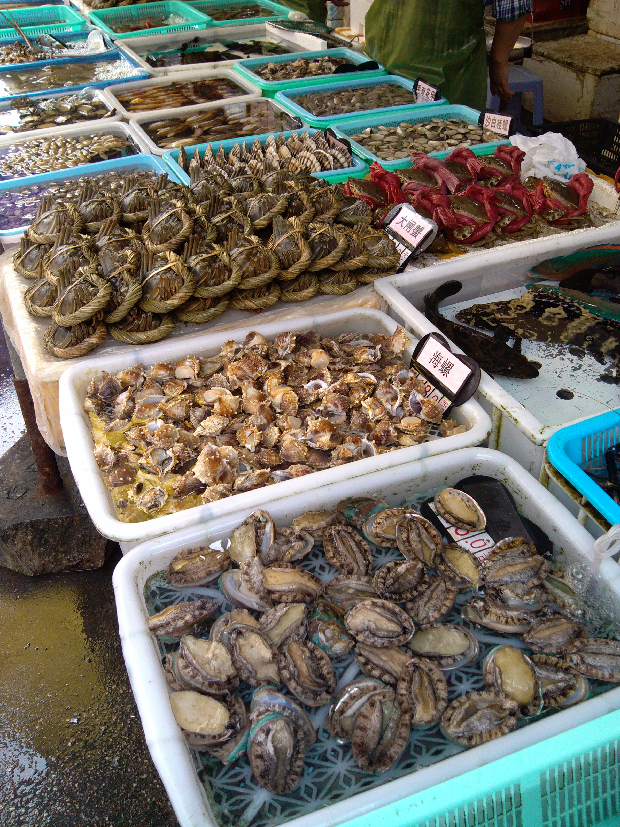 珠海石景山公园攻略,珠海澳门环岛游时间表