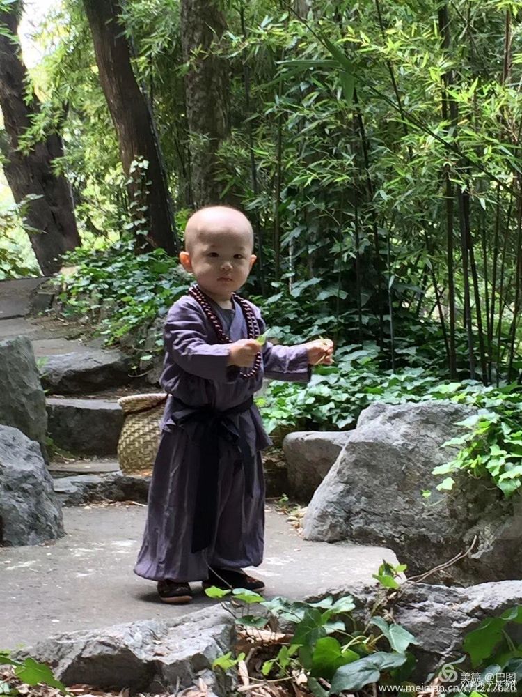 金色童年8张图片,金色的童年相片