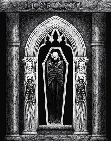 蝙蝠和吸血鬼的渊源,蝙蝠是怎么传播病毒