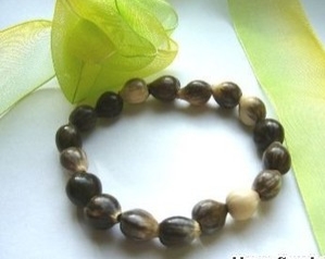 老玉豆种值钱吗,野外常见的豆子是什么