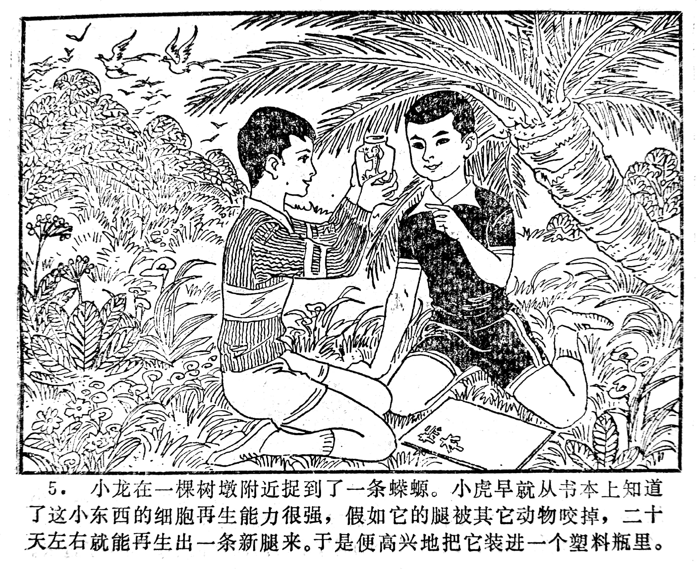 科学幻想画中班,科学幻想连环画二年级