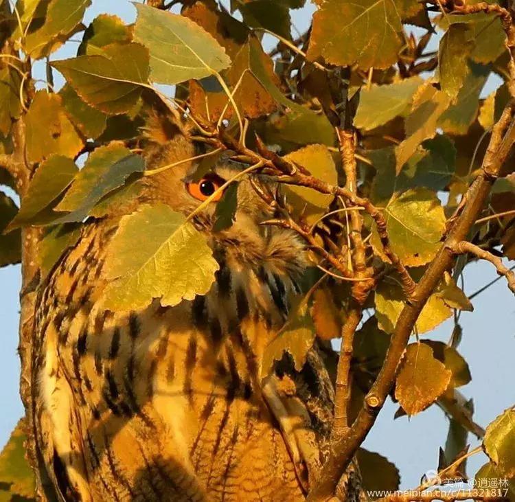 天坛最近发生什么事,北京天坛现在的状况