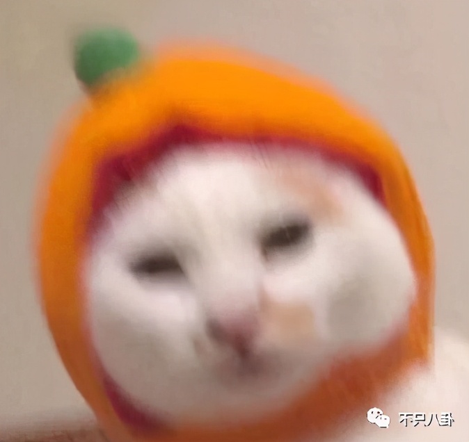 咸素媛与陈华离婚,咸素媛陈华离婚了没有