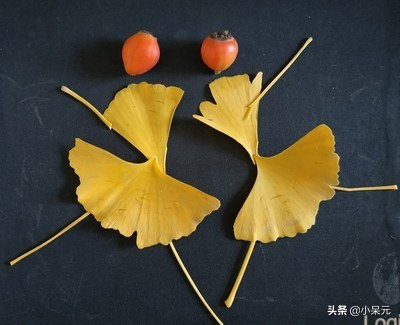 人情似纸番番薄世事如棋局局新,红颜蓝颜可遇不可求