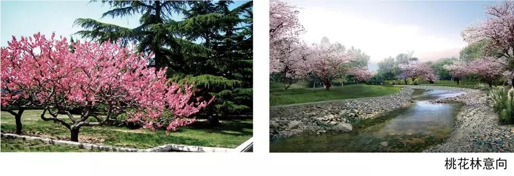 龙泉驿中医医院,龙泉驿中医院新院区现状