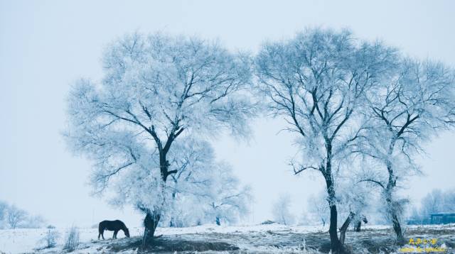 唯愿不负美景不负卿,不负美景不负卿什么意思
