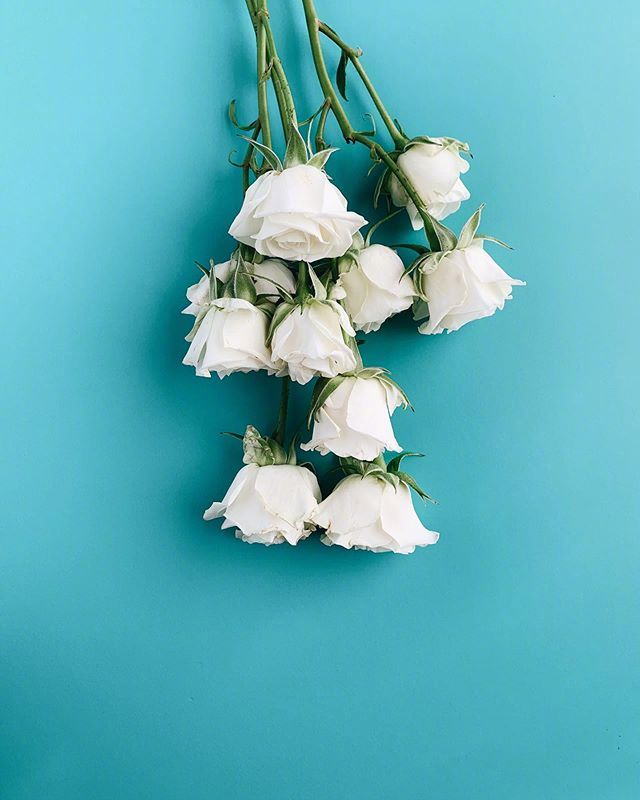 比水还干净的治愈句子句句温暖,比水干净的经典句子