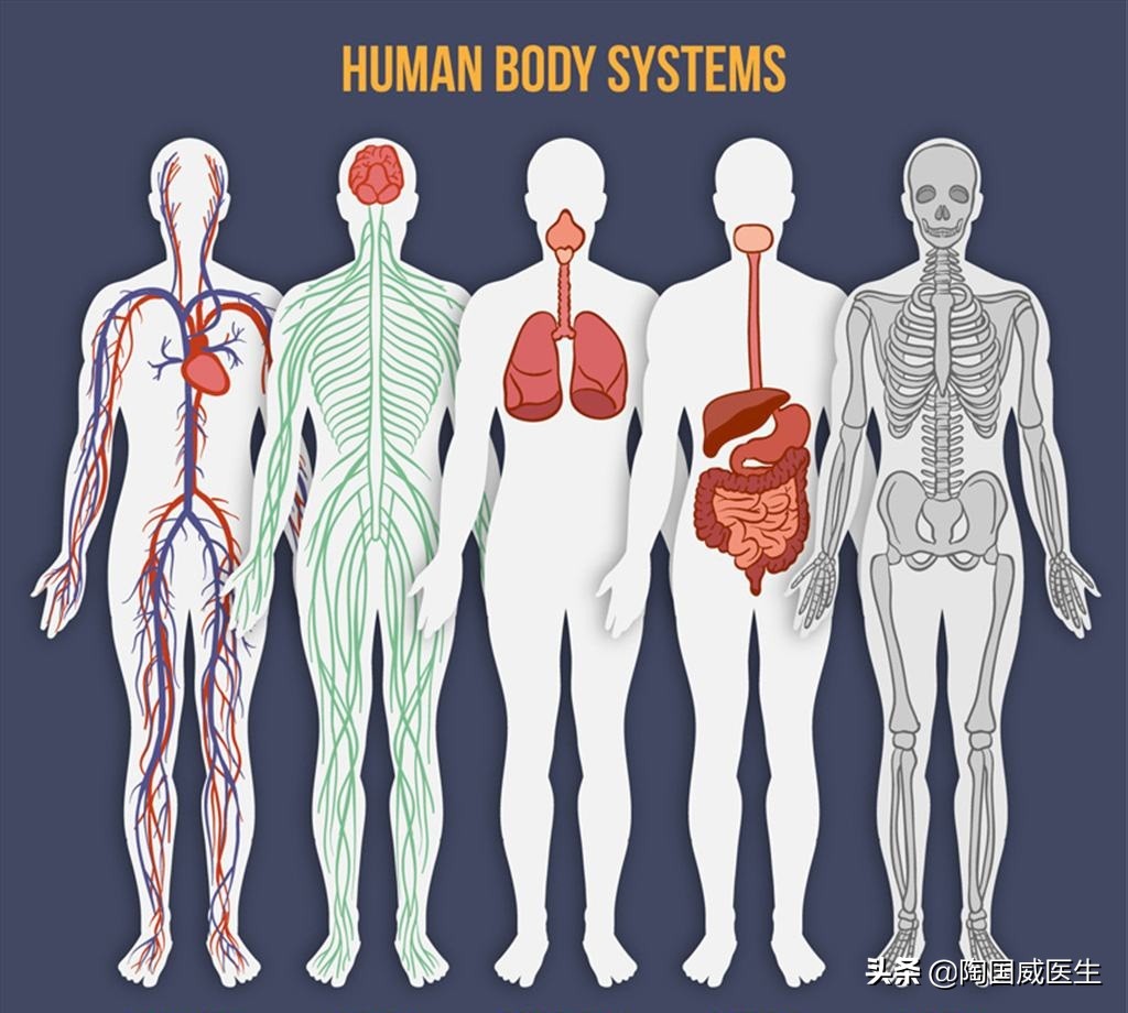 肿瘤康复纪实,肿瘤治疗指南书