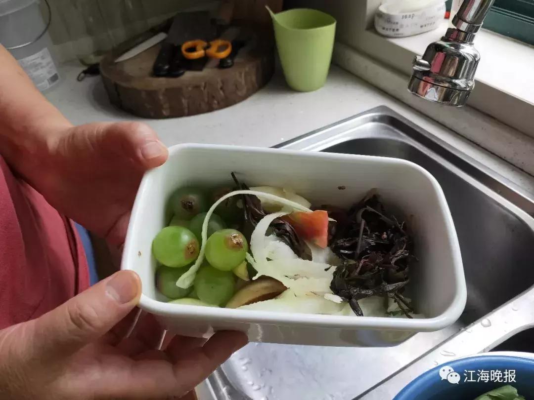 南通有位达人,7年来,果皮菜叶从未丢出门