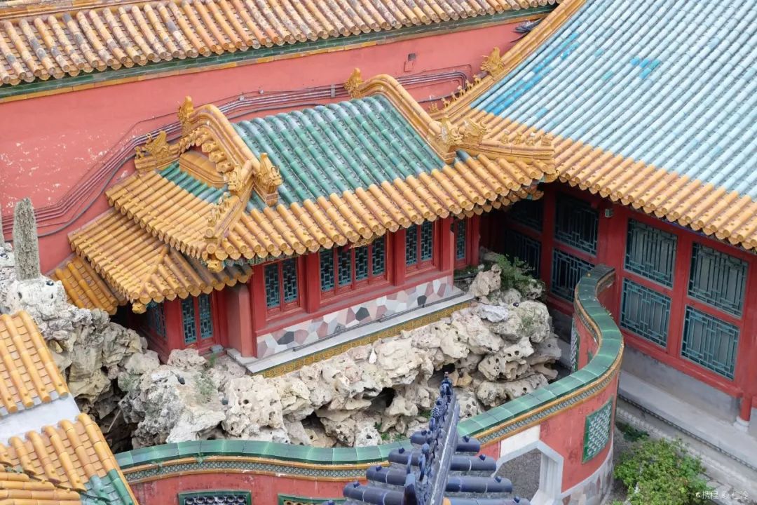 告别流浪猫展览再现12个吸猫圣地,最治愈的吸猫胜地