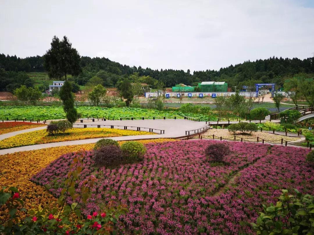 国庆7天去哪玩成都,国庆七天长假去哪里玩