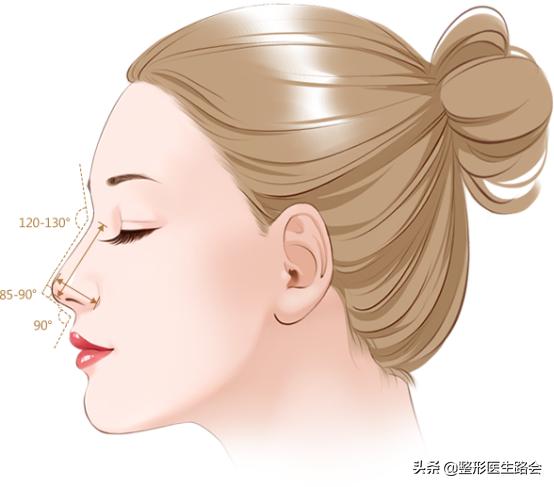 精致水滴鼻长什么样,好看的美鼻标准图