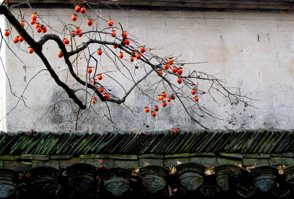 徽州赏秋三日游自驾游攻略,小众徽州赏秋村落