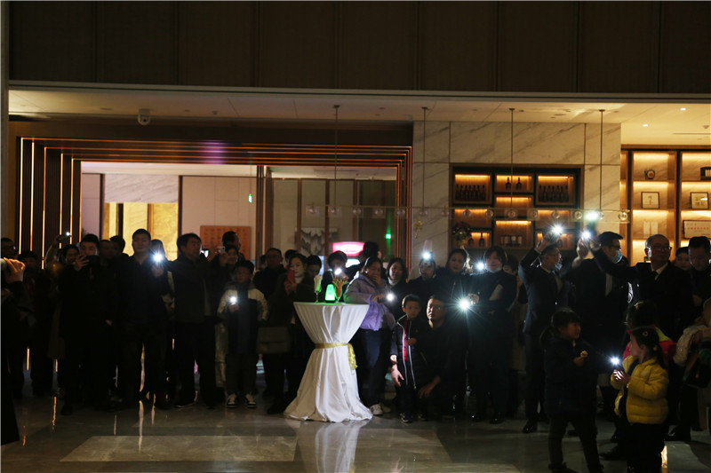 阜阳宝龙温德姆至尊豪廷大酒店,阜阳宝龙温德姆酒店何时开业