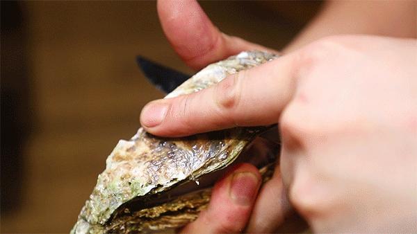 鏉窞鐑х儰鍦ｅ湴,鐑х儰鍦ｅ湴鏉窞