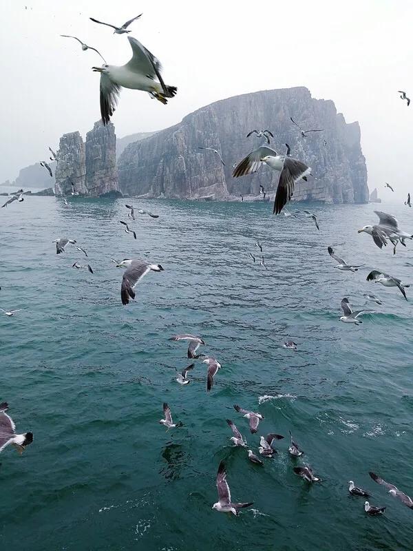 山东长岛自助游攻略,山东长岛游玩攻略视频