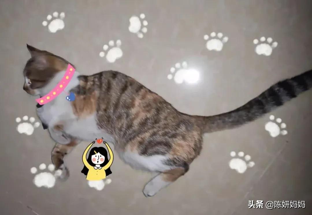 孩子还没谈恋爱父母应怎么办,当青春期遇上恋爱期