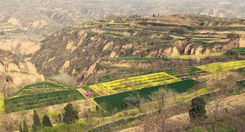 华夏乎!运城兮|一位资深旅游人心中的运城!