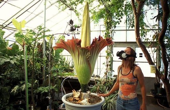 被变异的动物有什么情况,被变异的动物有多可怕