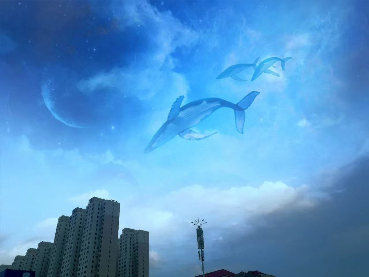 庄子逍遥游读诵及翻译,庄子逍遥游里的鲲鹏