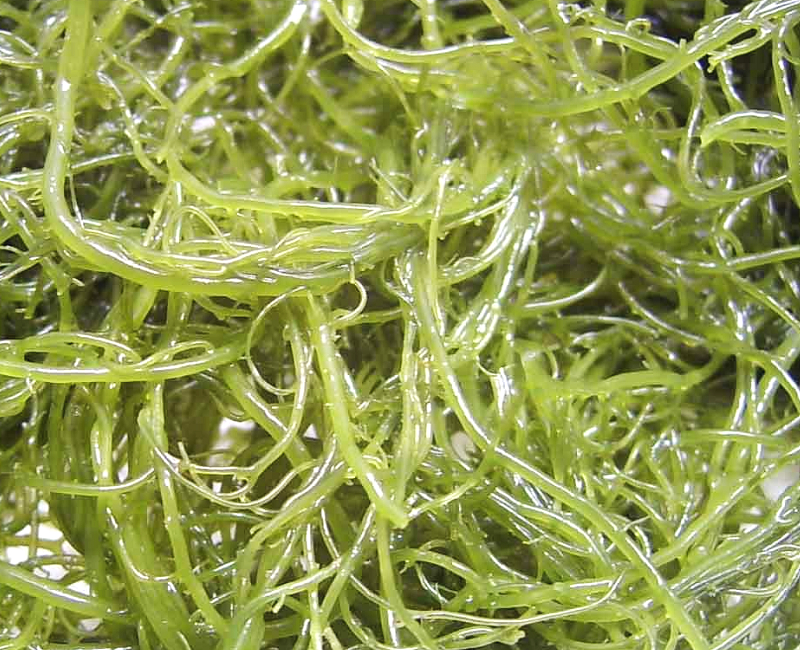 来到天下第一关,来到天下第一窖的感受