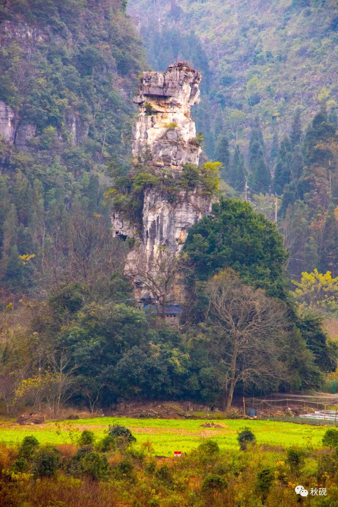 周游西南随记(六)弥蒙的万峰林