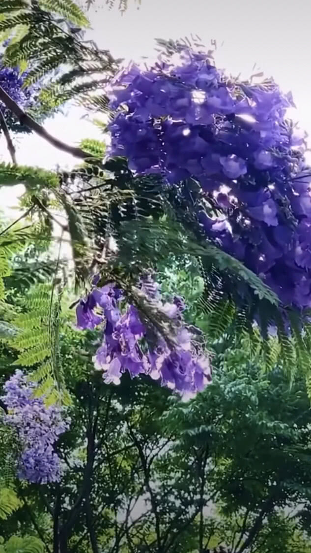 和婆婆吵架公公打电话到我娘家,儿媳妇和公公吵架怎么办