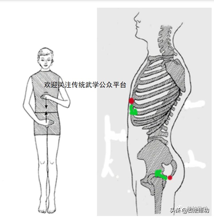 什么才是正确的含胸拔背,含胸拔背才是正确的姿势吗