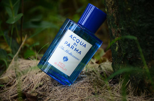 小众冷门的奶香调香水,清冷玫瑰香水推荐平价小众