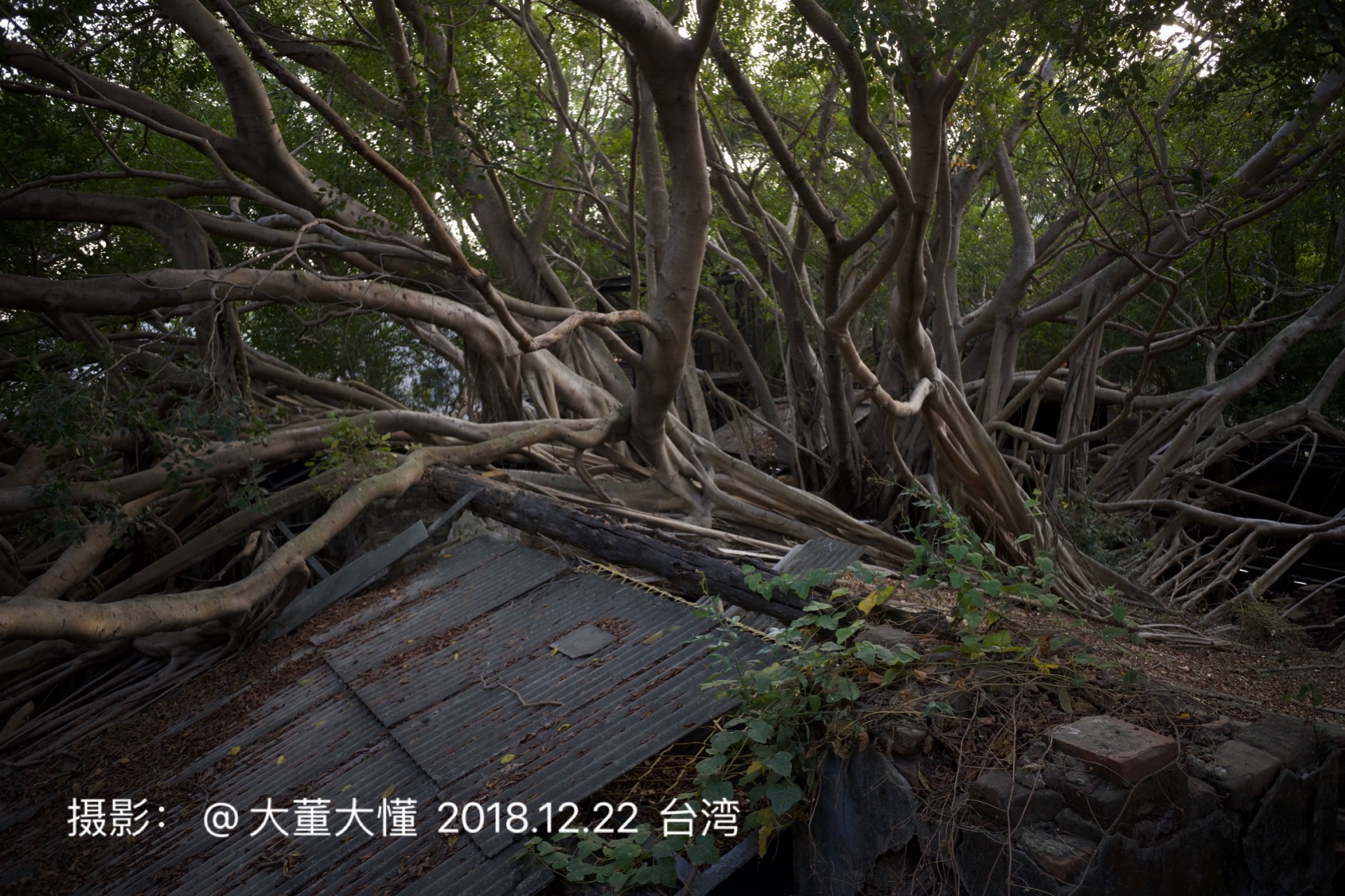 去台中，品赏世界最美女厨师的大董专享菜单