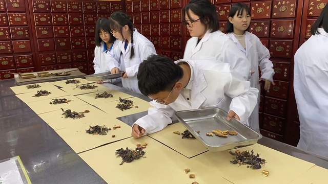 大连口腔义齿中专,大连口腔义齿中等职业技术学校