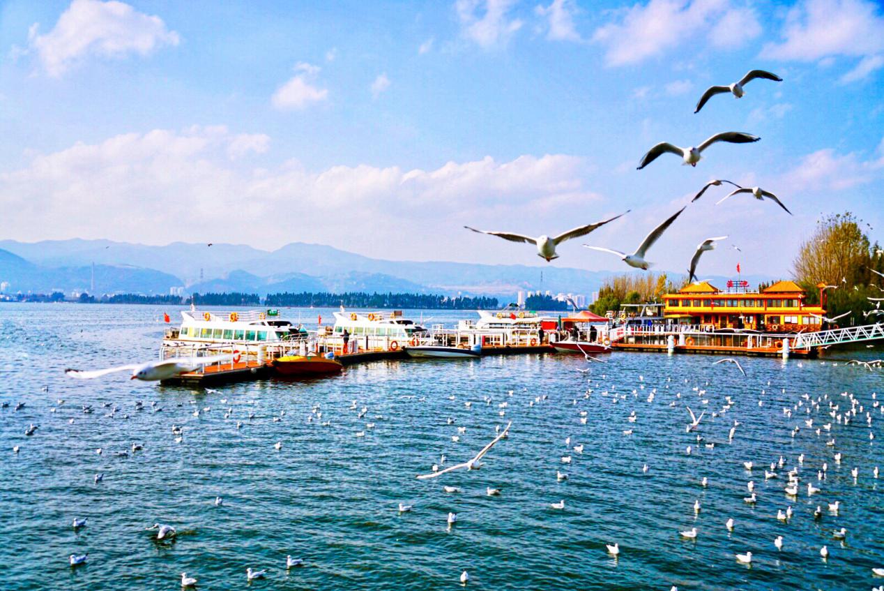 融美旅幸福发声滇池旅居正当时,融美旅居