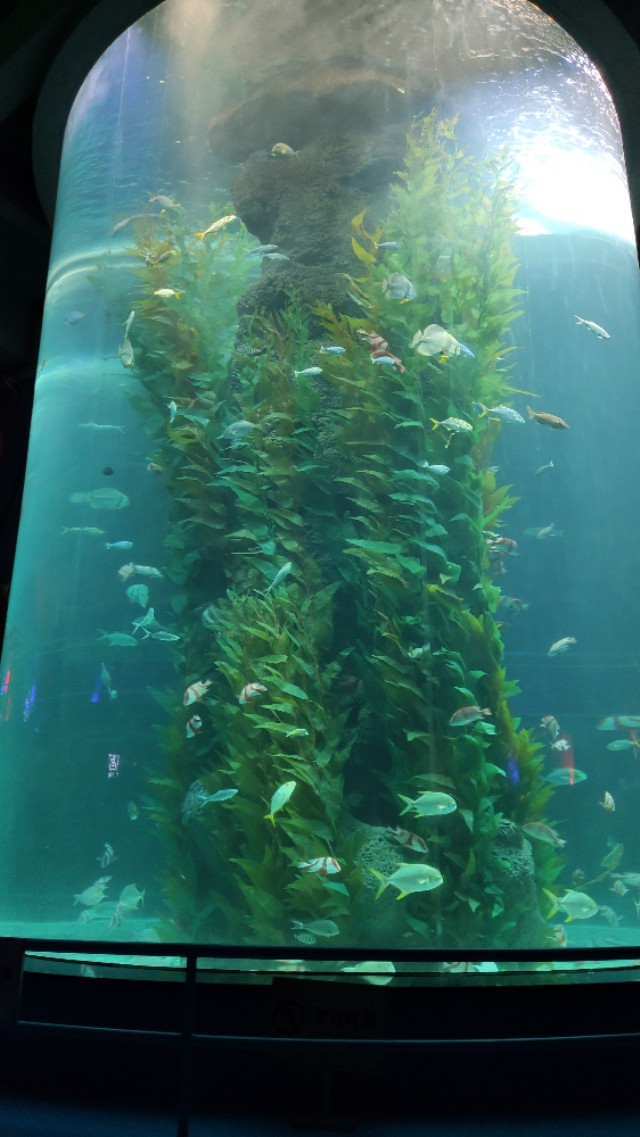 福州欧乐堡海洋世界家庭套票团购,福州欧乐堡海洋世界门票价格