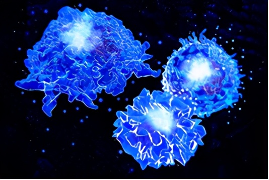 nature重磅揭秘人类抗击糖尿病历史,nature十大科学进展