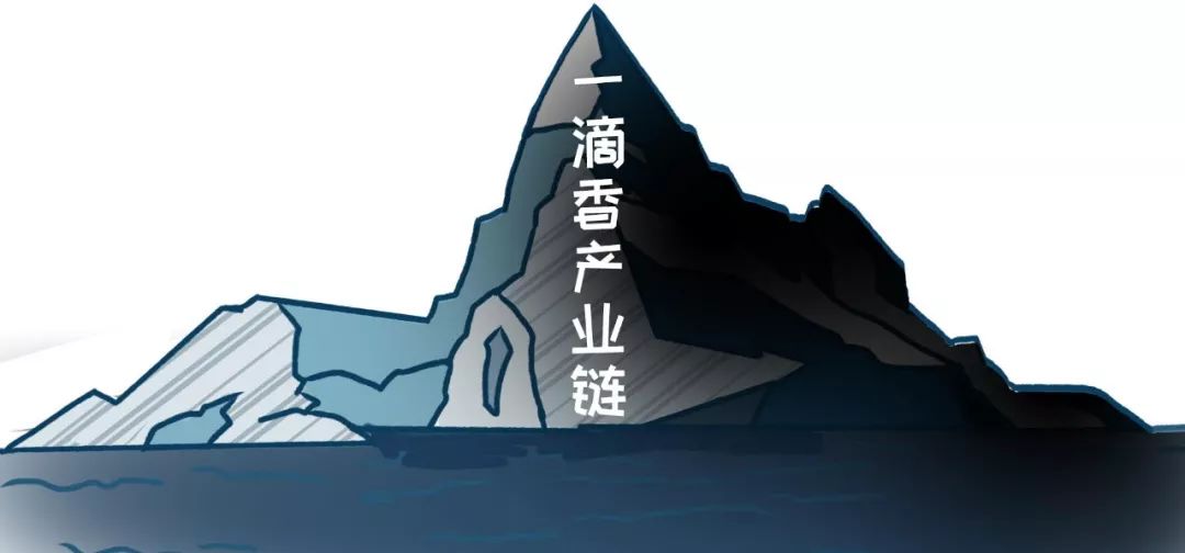 一滴香勾兑高汤,熬一杯高汤