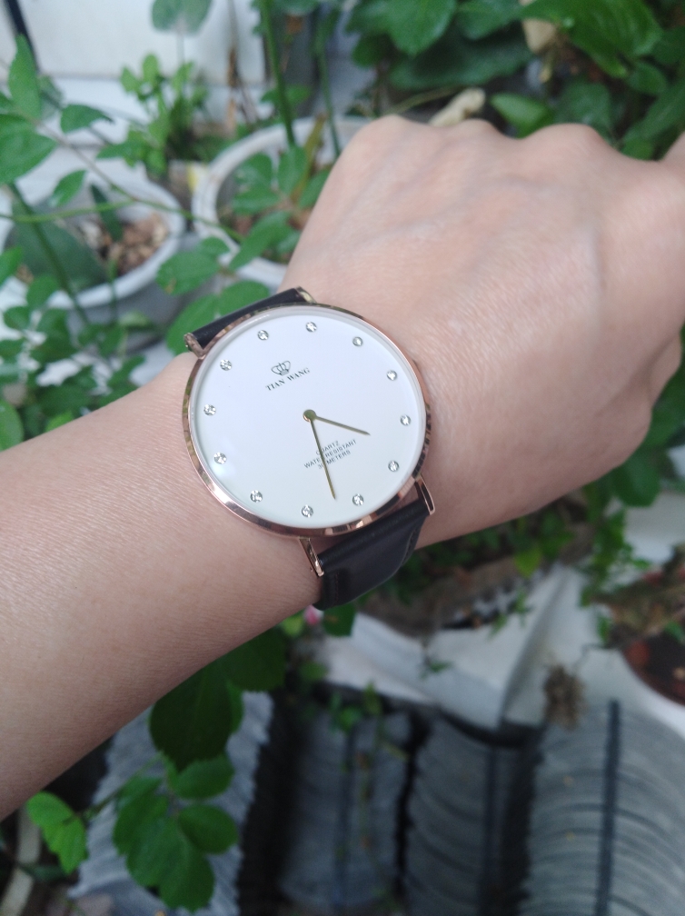 天王手表男士机械表什么样,天王手表咋样