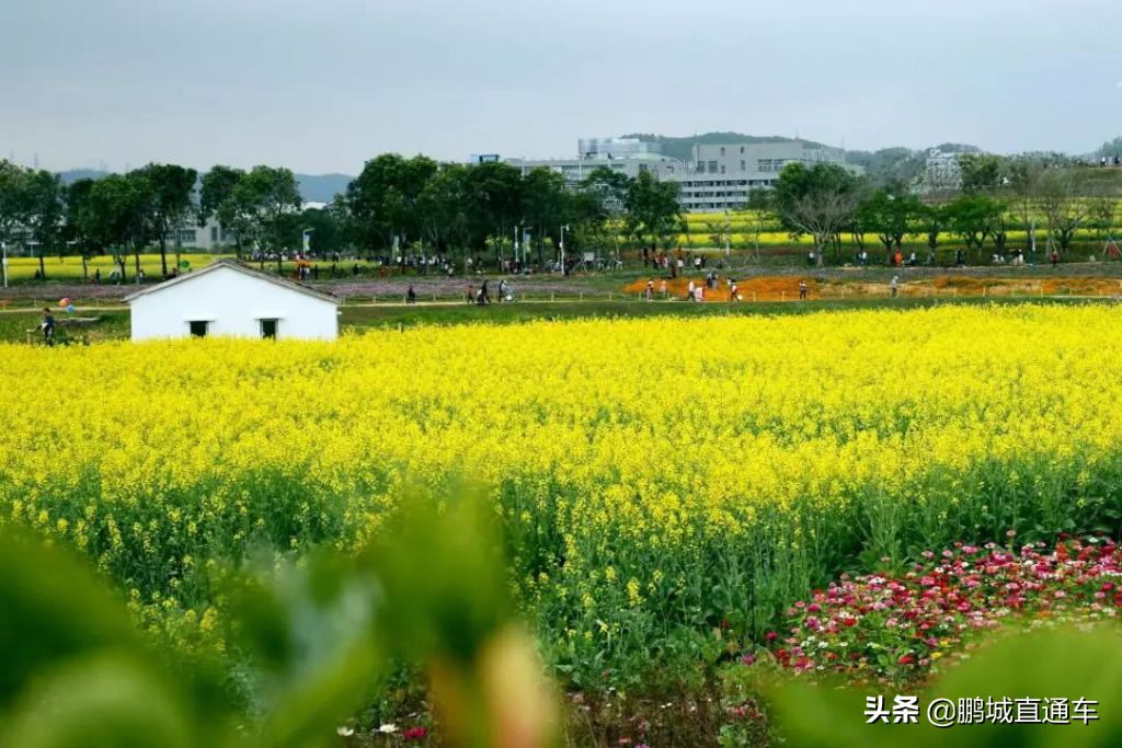 深圳周边古镇玩住一日游推荐,深圳山水田园一日游