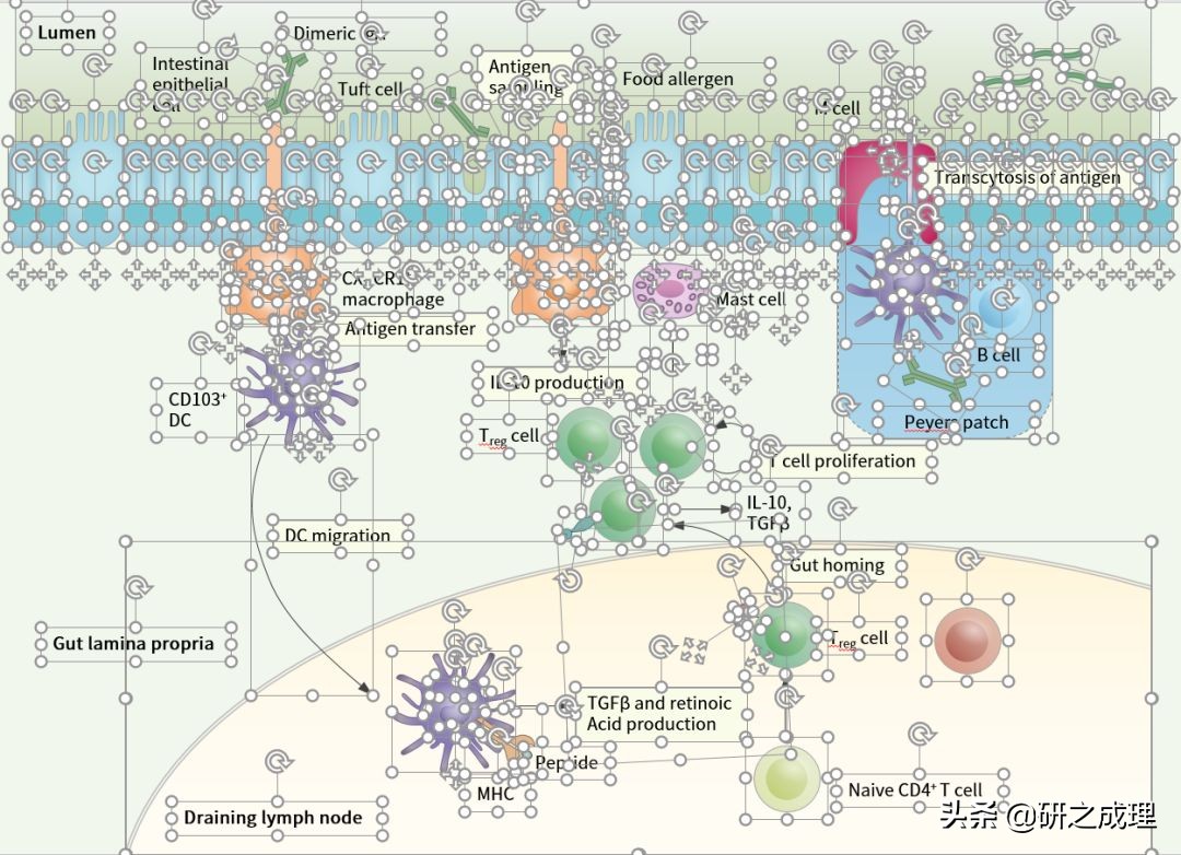 3d晶体科研绘图ppt,用ppt做3d科研图