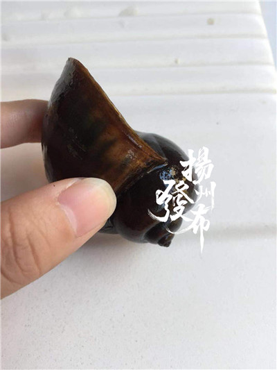 野外的东西可别乱吃,野外的东西尽量不要乱吃