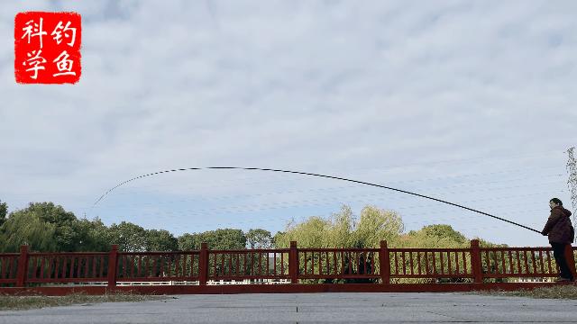 迪佳哪款综合鱼竿最好用,迪佳哪款鱼竿最结实