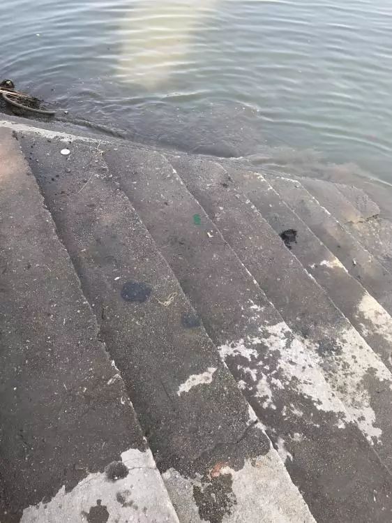 友人相约-本汀七迦爽爆竿