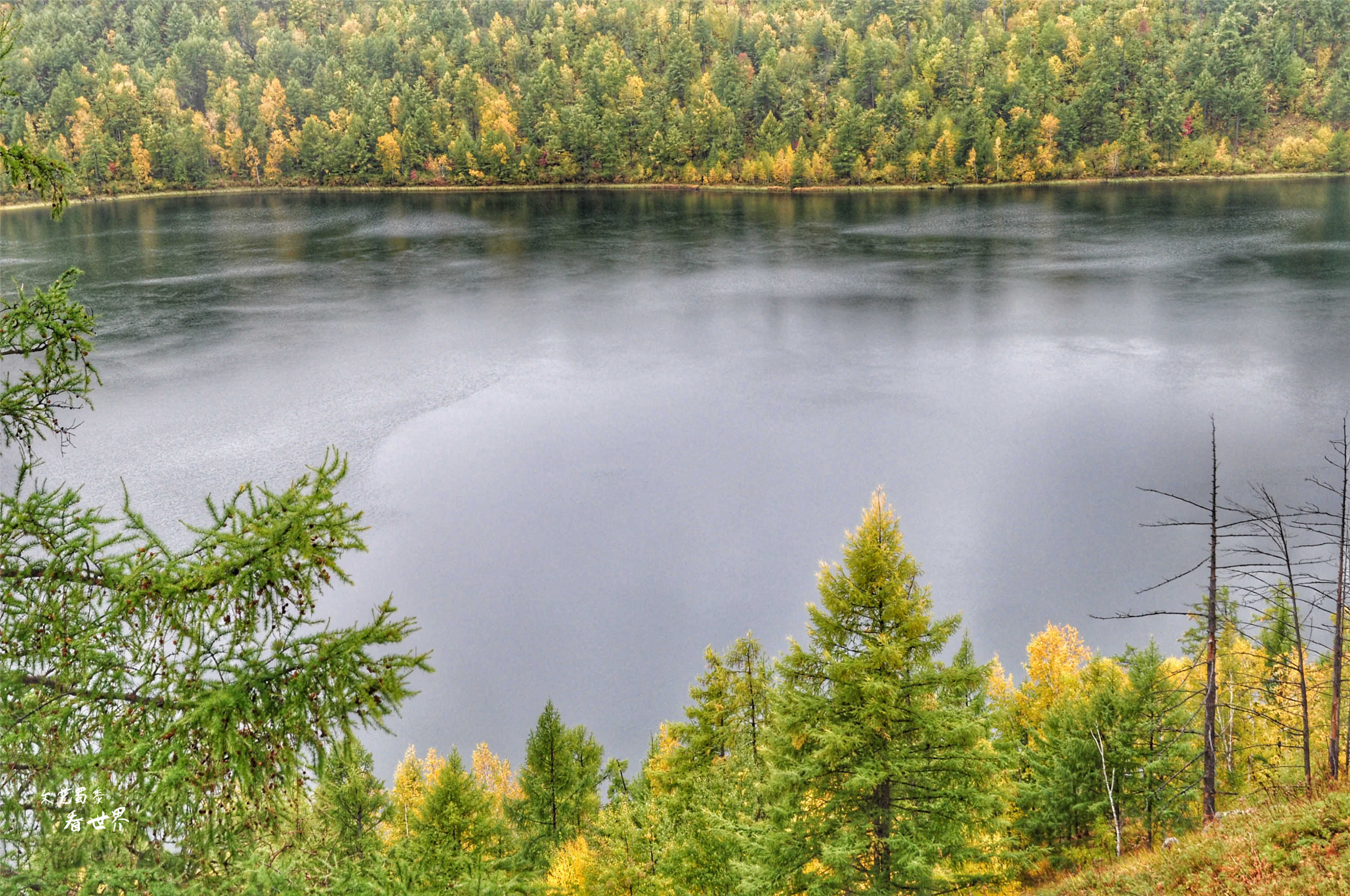阿尔山的冬天就是童话世界,如果你第一次来到草原会感叹什么